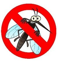 274e783fb2f8d8cf81d9ad2a3889e56e--keep-mosquitoes-away-repel-mosquitos